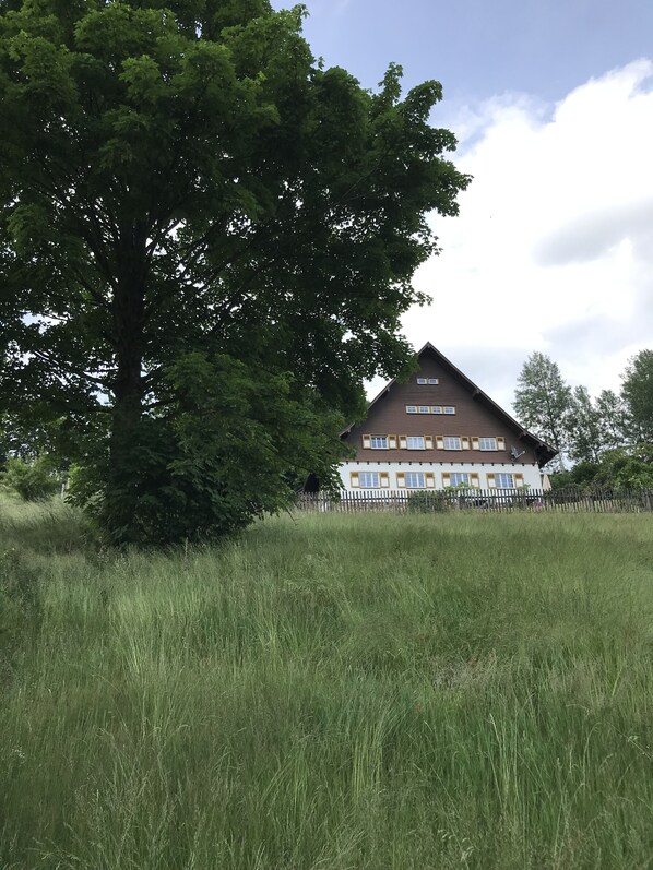 A large house with a sloped roof, surrounded by tall grass and a tree. - Ferienhaus-Aschberg, A house to feel good in; great view and lots of space (Klingenthal)