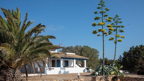 A white building with a tiled roof, surrounded by palm trees and a tall plant with yellow flowers.
