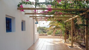 A covered walkway with a pergola structure, white walls, and blue window frames.