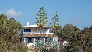 Un edificio de dos pisos con tejado de baldosas, rodeado de plantas y árboles variados.