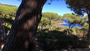 A pathway surrounded by trees and a view of the sea. - Exceptional property, panoramic sea views, pool, private tennis court, air-con (Ramatuelle)