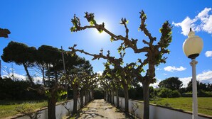 A pathway lined with trees and a white lamp post.