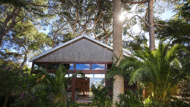 A house with a sloped roof, surrounded by lush greenery and trees.