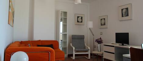 TV, DVD player, books, video library
