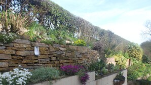 A stone wall with various plants and flowers.