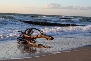 Playa en los alrededores