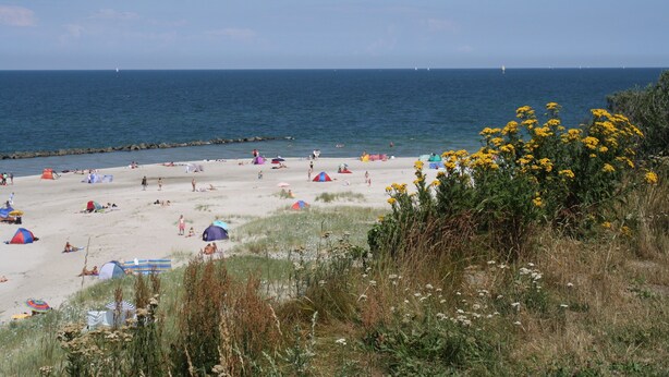 Een strand met tenten en mensen.