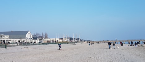 In StrandnĂ€he, LiegestĂŒhle