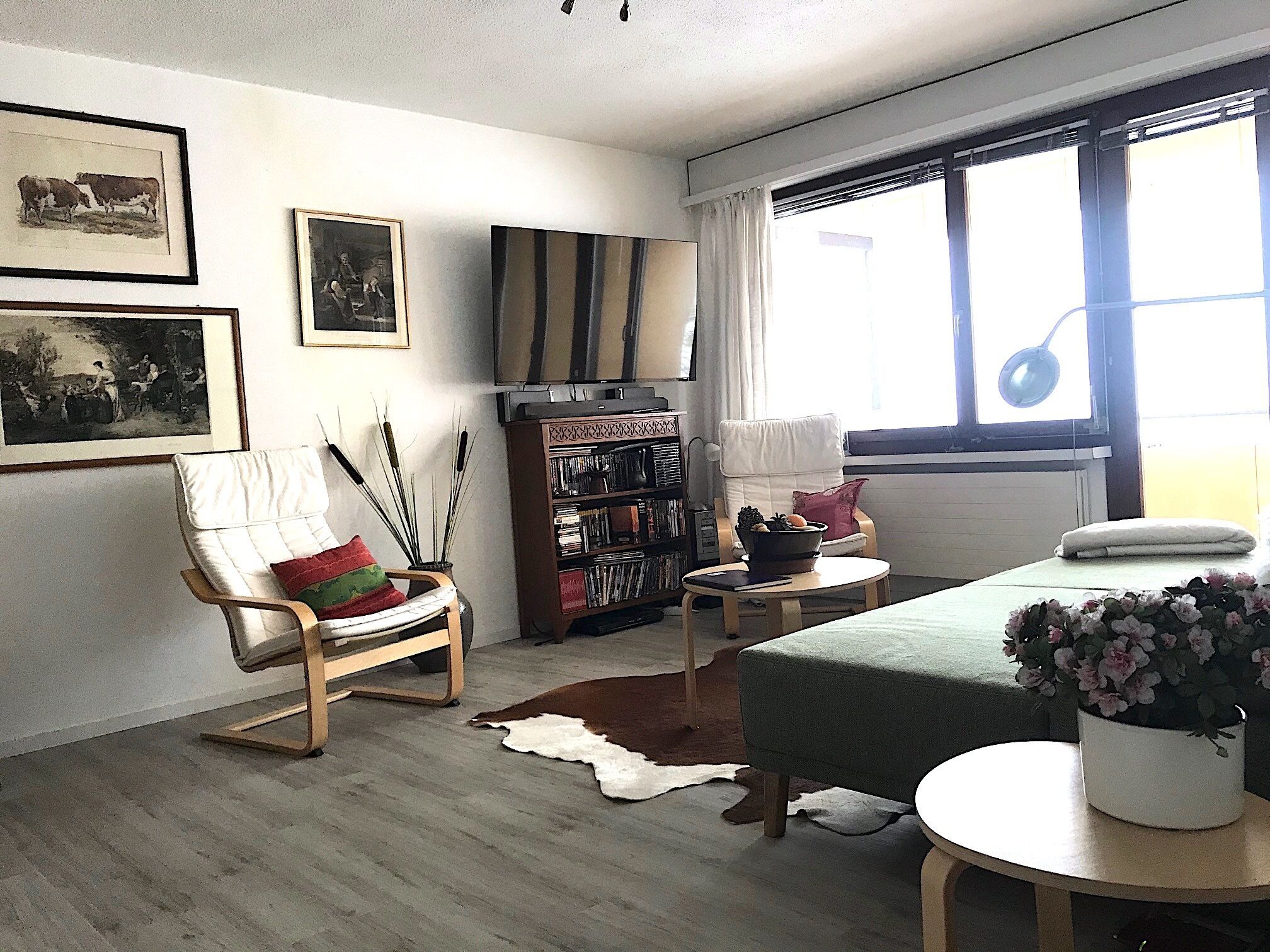 Mountain view over the valley of Lichtenstein, apartment on a slope