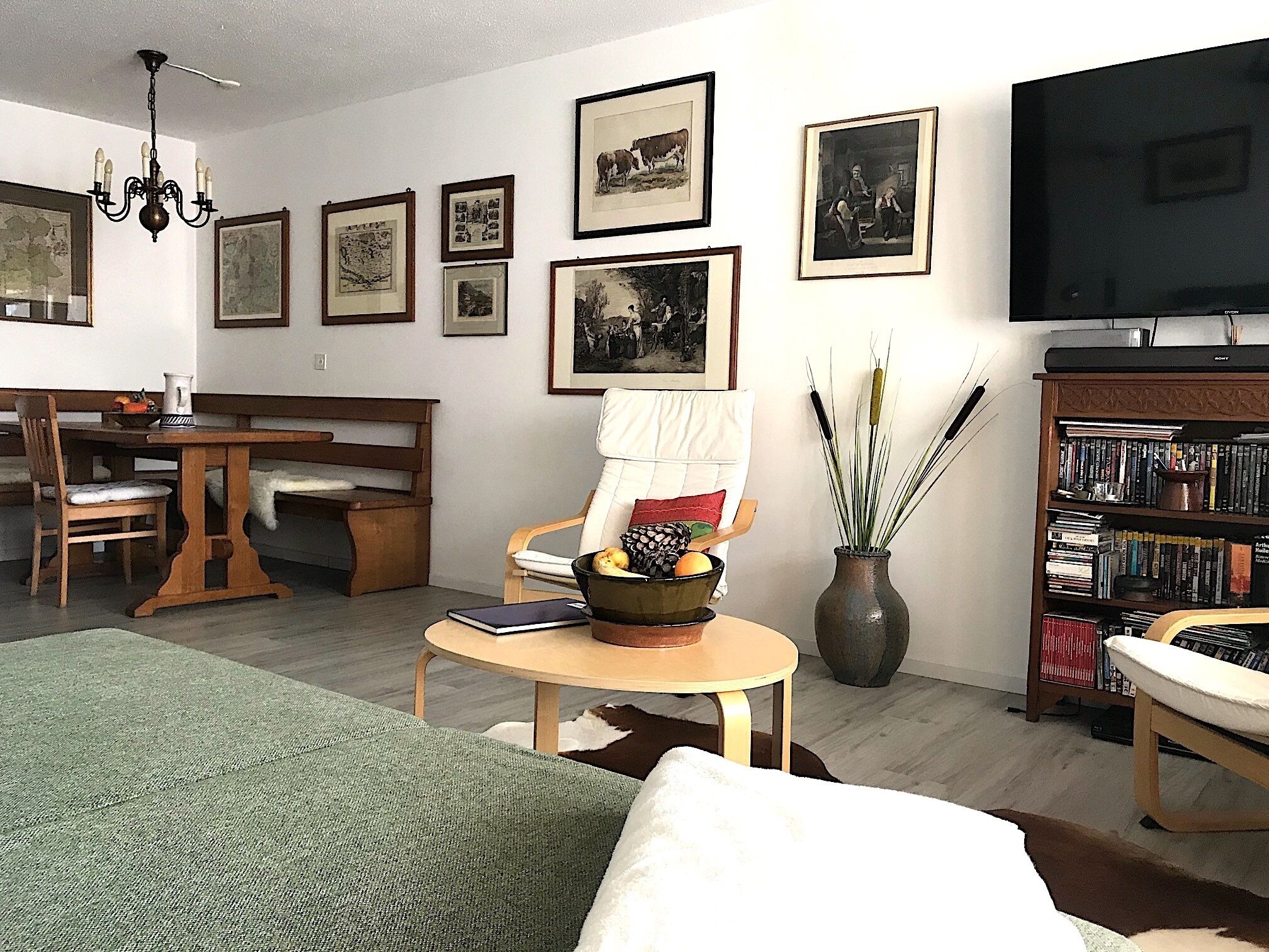 Mountain view over the valley of Lichtenstein, apartment on a slope