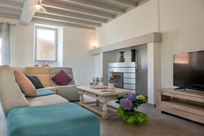 Televisión, chimenea, reproductor de DVD y libros 