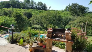 Een buitenbarbecueplaats met een bakstenen grill, omringd door potten met cactussen en bloeiende planten.