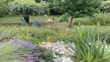 Jardines del alojamiento