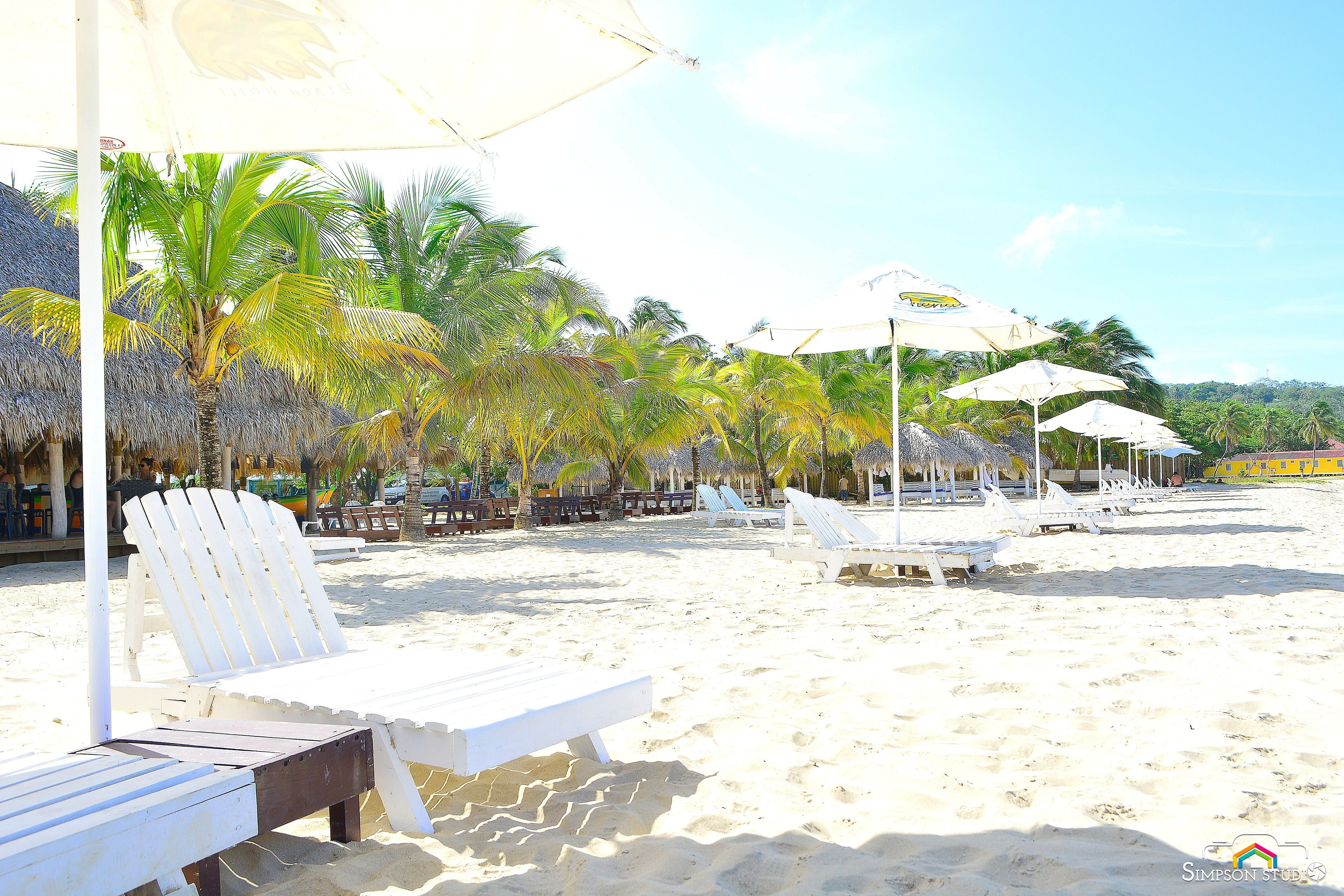 A beach with white lounge chairs and umbrellas, palm trees, and a clear sky.