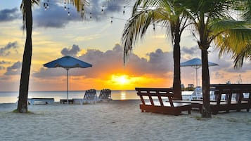 En la playa, vóleibol de playa, bar en la playa y kayaks