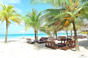 Una playa con palmeras, sillas de madera para tomar el sol y una vista despejada del océano.