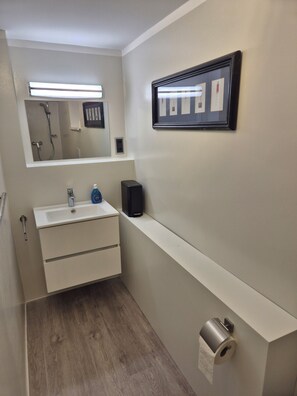 浴缸、風筒、番梘、廁紙