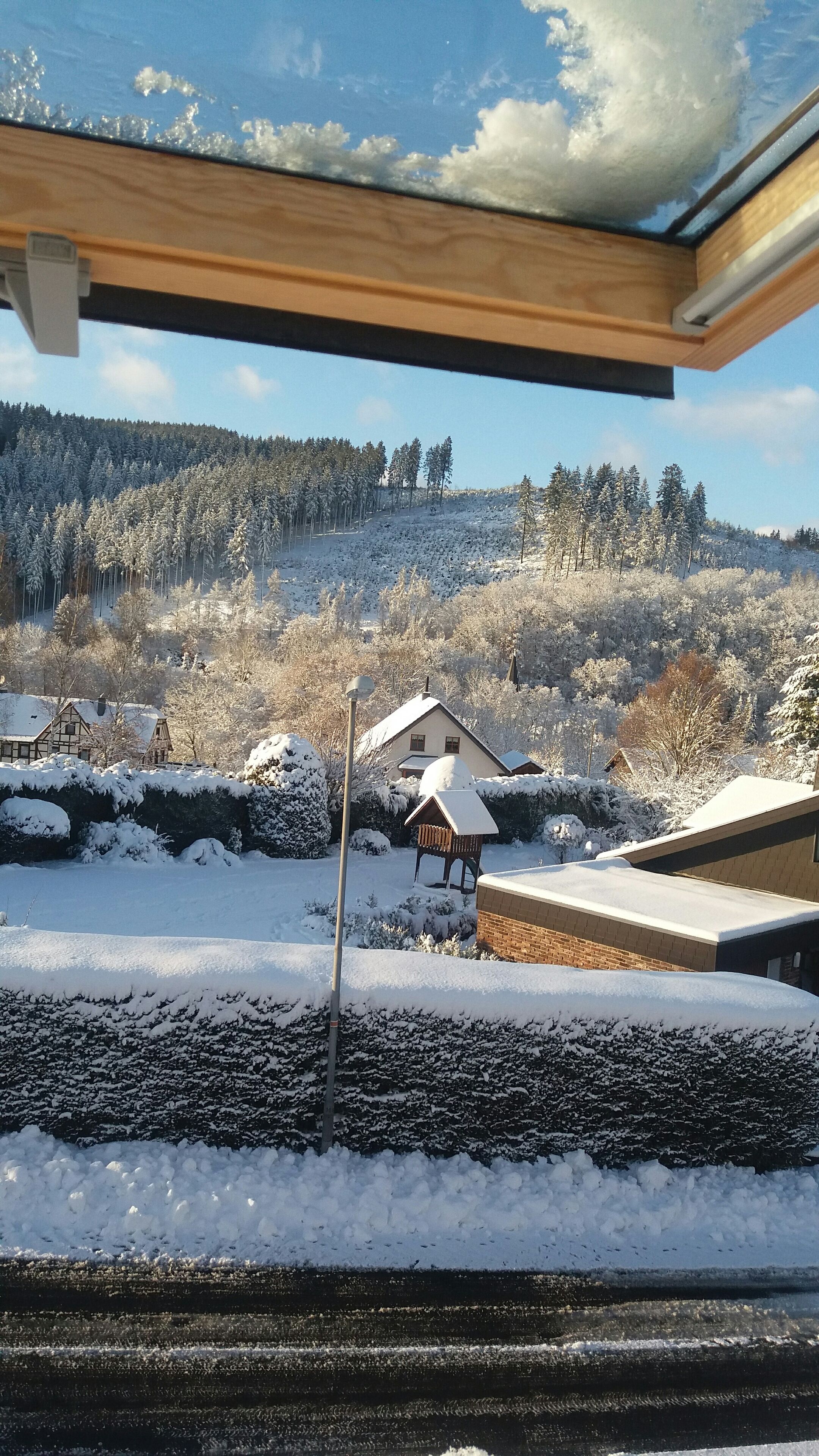 A snowy landscape with houses and a forested hill.