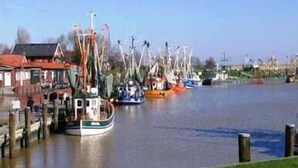 A harbor with several boats docked along the water. - Lone-standing vacation home with a large garden in a peaceful location (Niedersachsen)