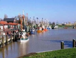 Marina - Lone-standing vacation home with a large garden in a peaceful location (Niedersachsen)