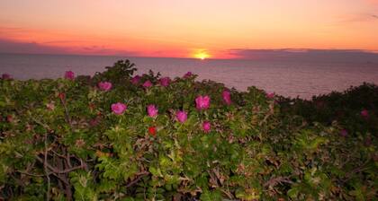 Lone-standing vacation home with a large garden in a peaceful location