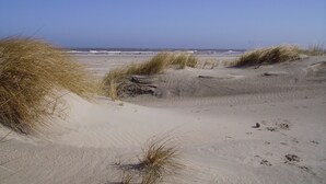 A sandy beach with dunes and sparse vegetation. - Lone-standing vacation home with a large garden in a peaceful location (Niedersachsen)