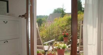 Ferienwohnung Bad Elster für 1 - 4 Personen mit 1 Schlafzimmer - Ferienwohnung