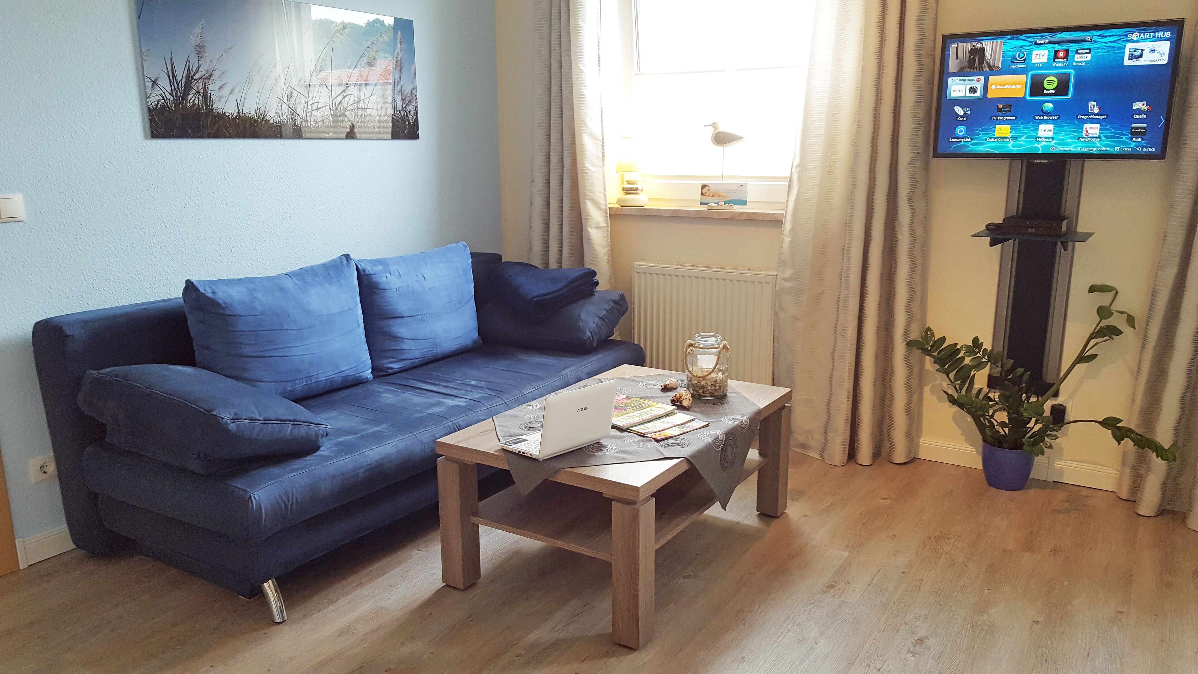 A living room with a blue sofa, a wooden coffee table with a laptop, a TV on a stand, a window with curtains, and a plant.