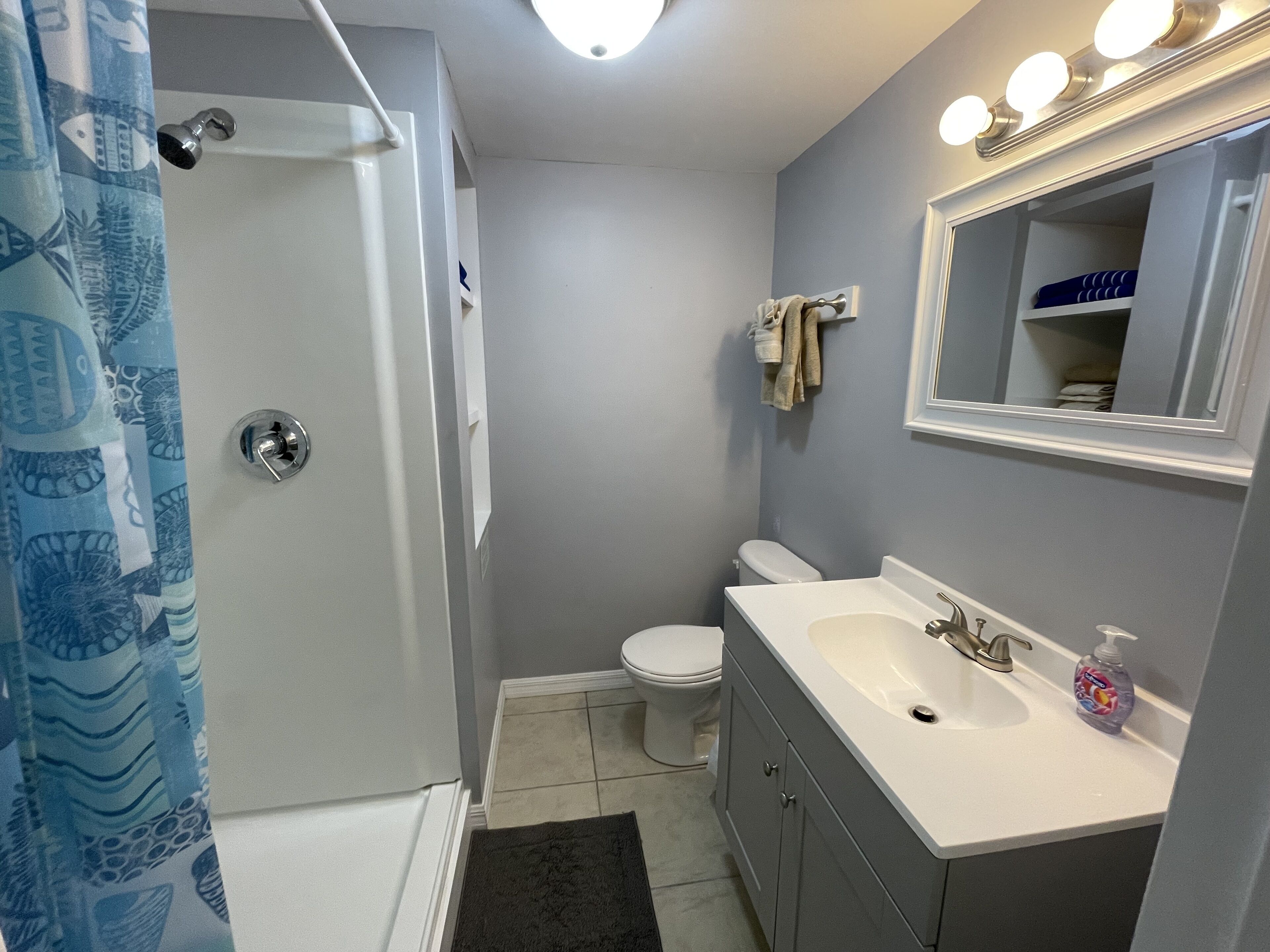 Un baño con ducha, inodoro, lavabo y espejo.