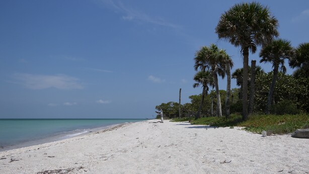 A beach with white sand and palm trees. - Sun, beach, and great deals—discover dream vacation destinations with discounts (Matlacha)