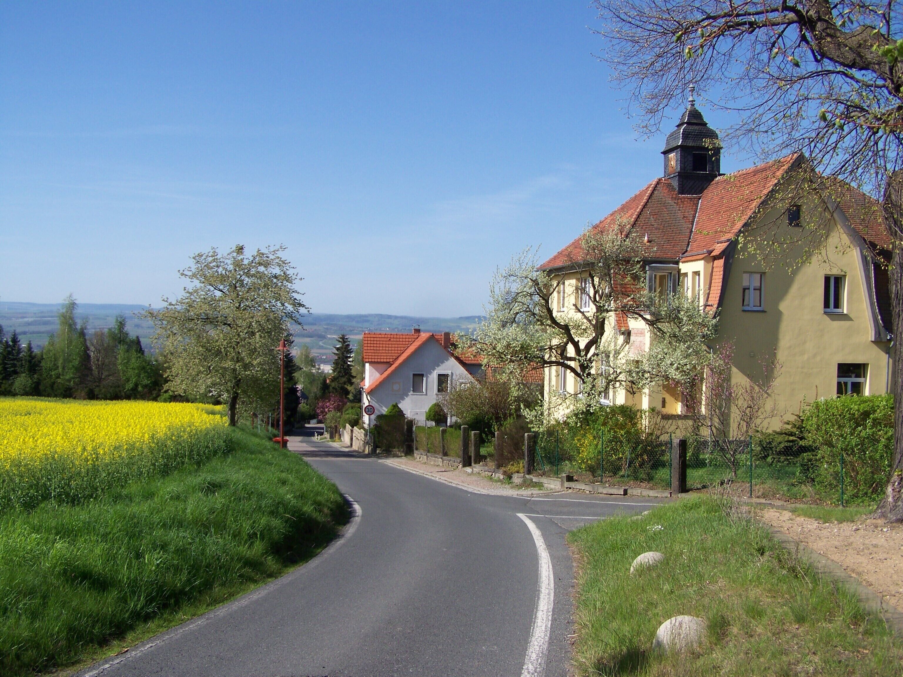 A rural road with houses on either side, a field of yellow flowers, and a clear blue sky.
