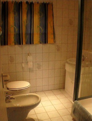 Shower, bidet, towels, toilet paper