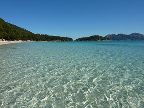 Une plage de sable fin bordée d’une eau turquoise, avec une colline boisée en arrière-plan.
