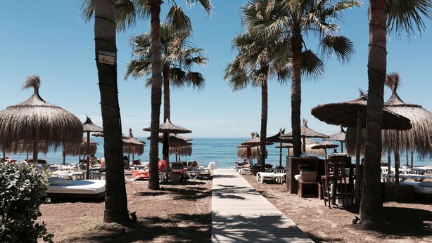 A beach with palm trees, thatched umbrellas, and lounge chairs.