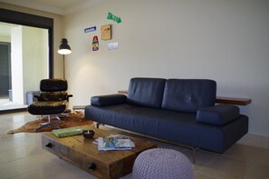 TV connectée, cheminée, livres, médiathèque