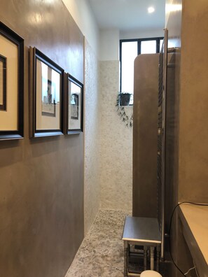 Shower, hair dryer, towels, toilet paper