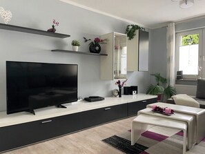 Smart TV, DVD player, books, video library