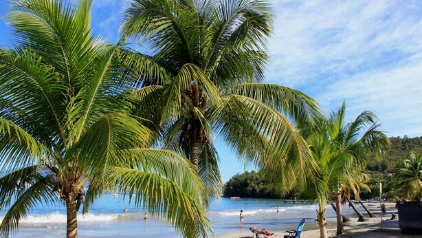 A beach with palm trees, a sandy shore, and a clear blue sky. - Nice apartment in a quiet resort with pool only 50m from the beach. (Trois-Îlets)