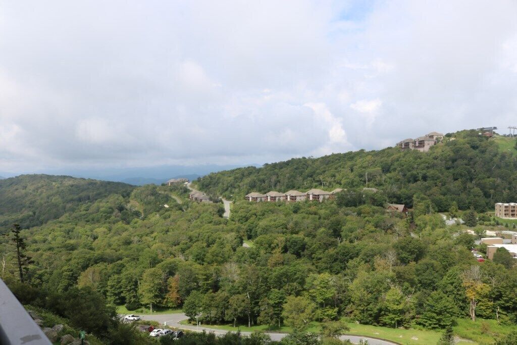 Vista d'una zona amb muntanyes i un camí que condueix a un grup d'edificis envoltats per un bosc dens.