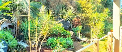 A garden with various plants and a small wooden structure.