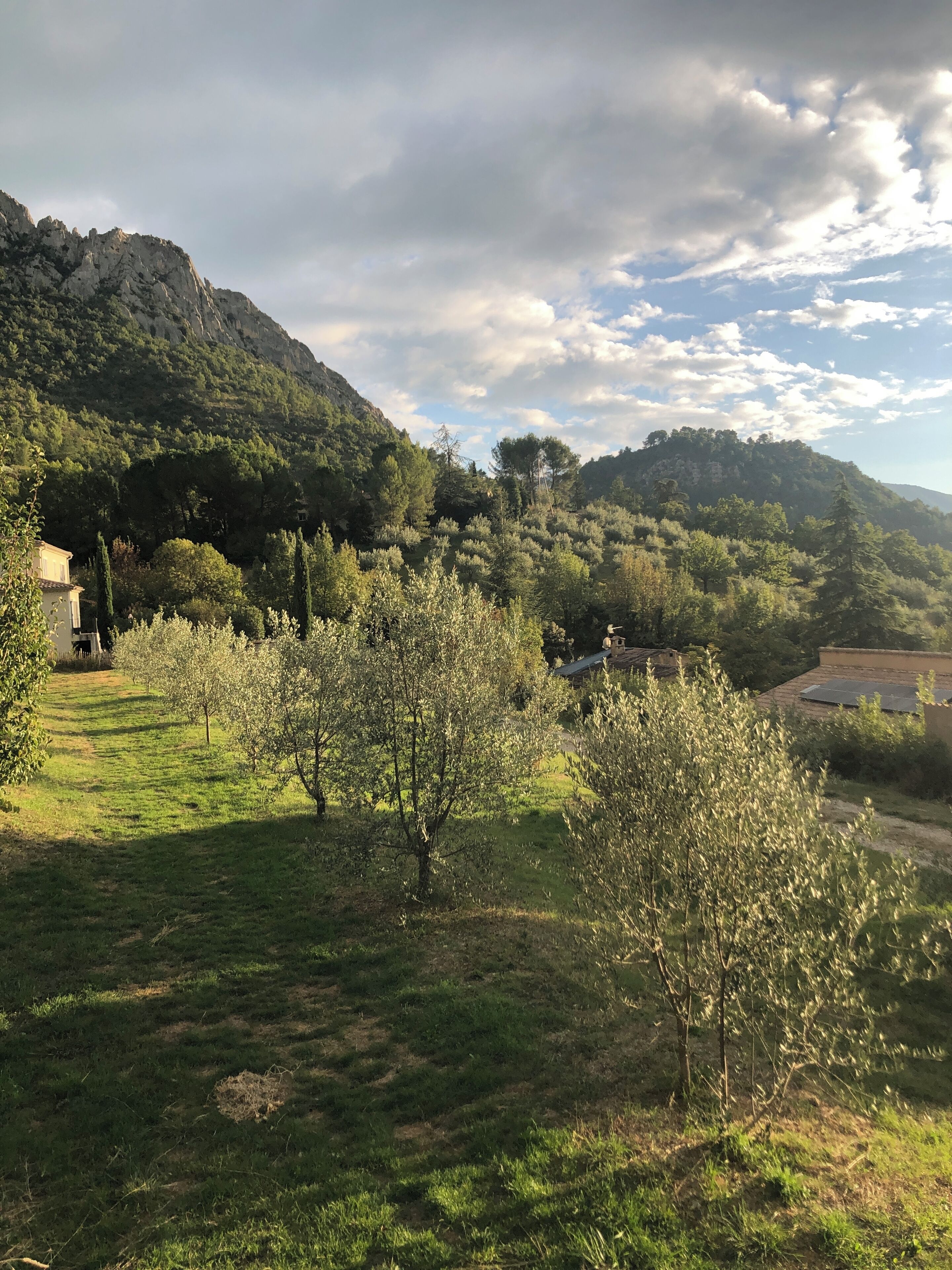 A rural landscape with a house surrounded by trees and a mountain in the background.