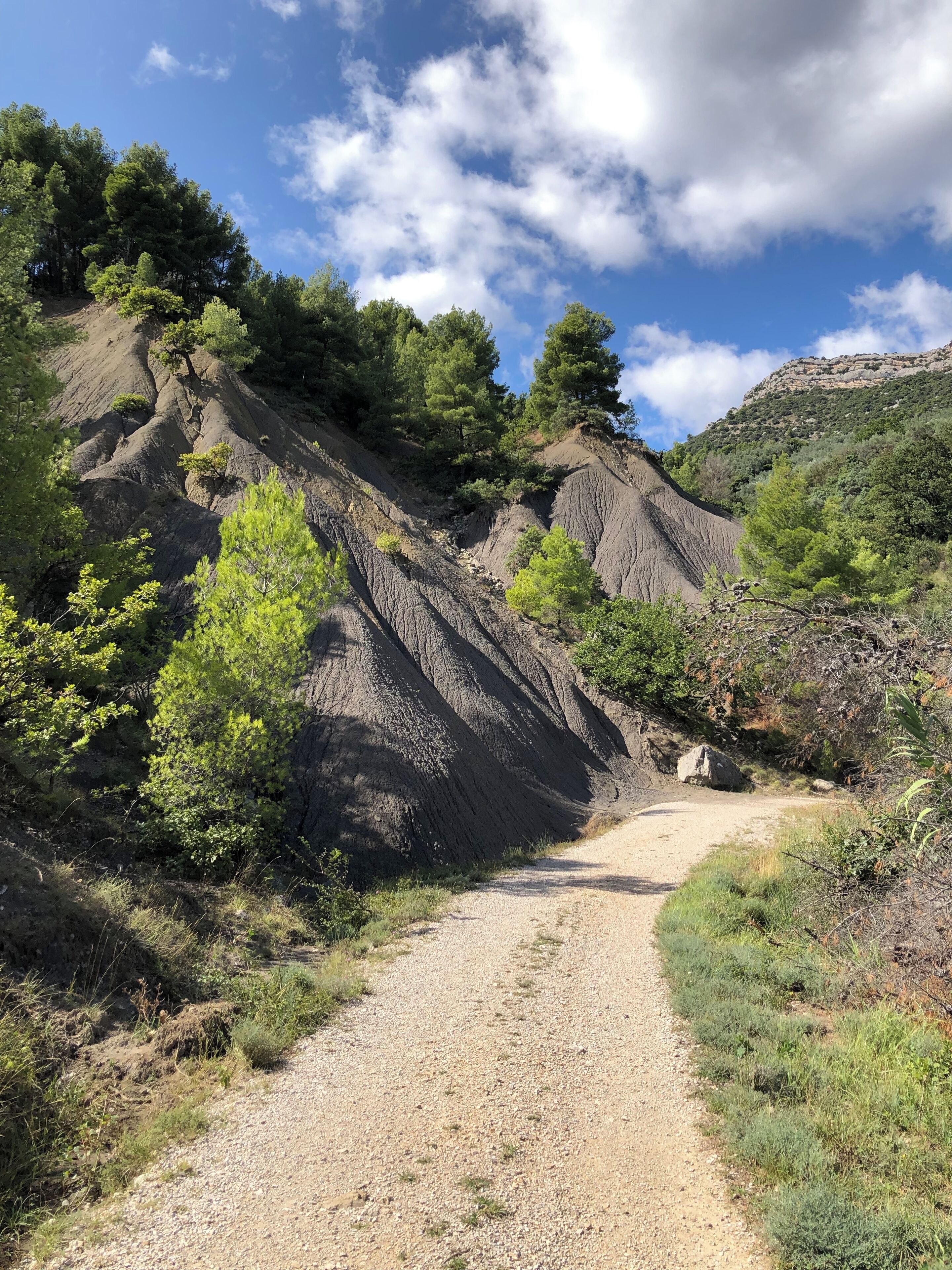 A gravel path leading through a rocky landscape with sparse vegetation and trees.