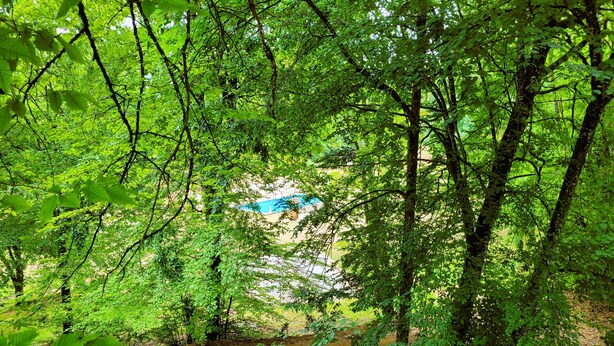 A forested area with a pool visible through the trees. - Gîte for 5 to 7 people in Sarlat. Heated swimming pool. Wifi. >>Nature (SARLAT LA CANEDA)