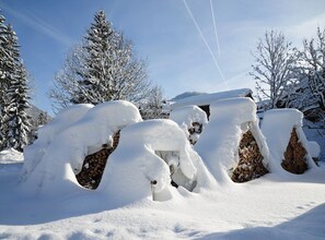Un paysage enneigé, avec des arbres couverts de neige et un ciel dégagé.