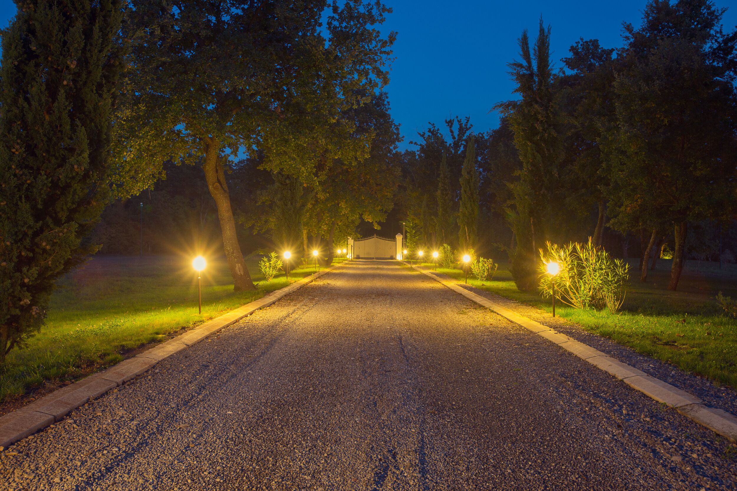 A driveway leading to a building with a covered entrance, surrounded by trees and illuminated by street lamps.