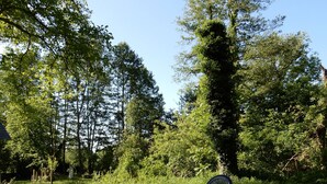 Zwei Personen üben Yoga auf Matten in einer grünen, von Bäumen gesäumten Freifläche.