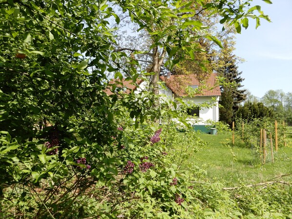 A white house with a red roof surrounded by lush greenery and flowering plants. - Holidays in the center of the biosphere reserve Burg im Spreewald (Burg (Spreewald))
