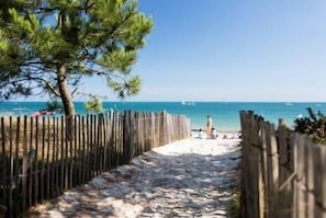 Ein Strandweg mit Holzzaun, einer Kiefer und einem tiefblauen Meer im Hintergrund.