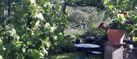 Speisen im Freien