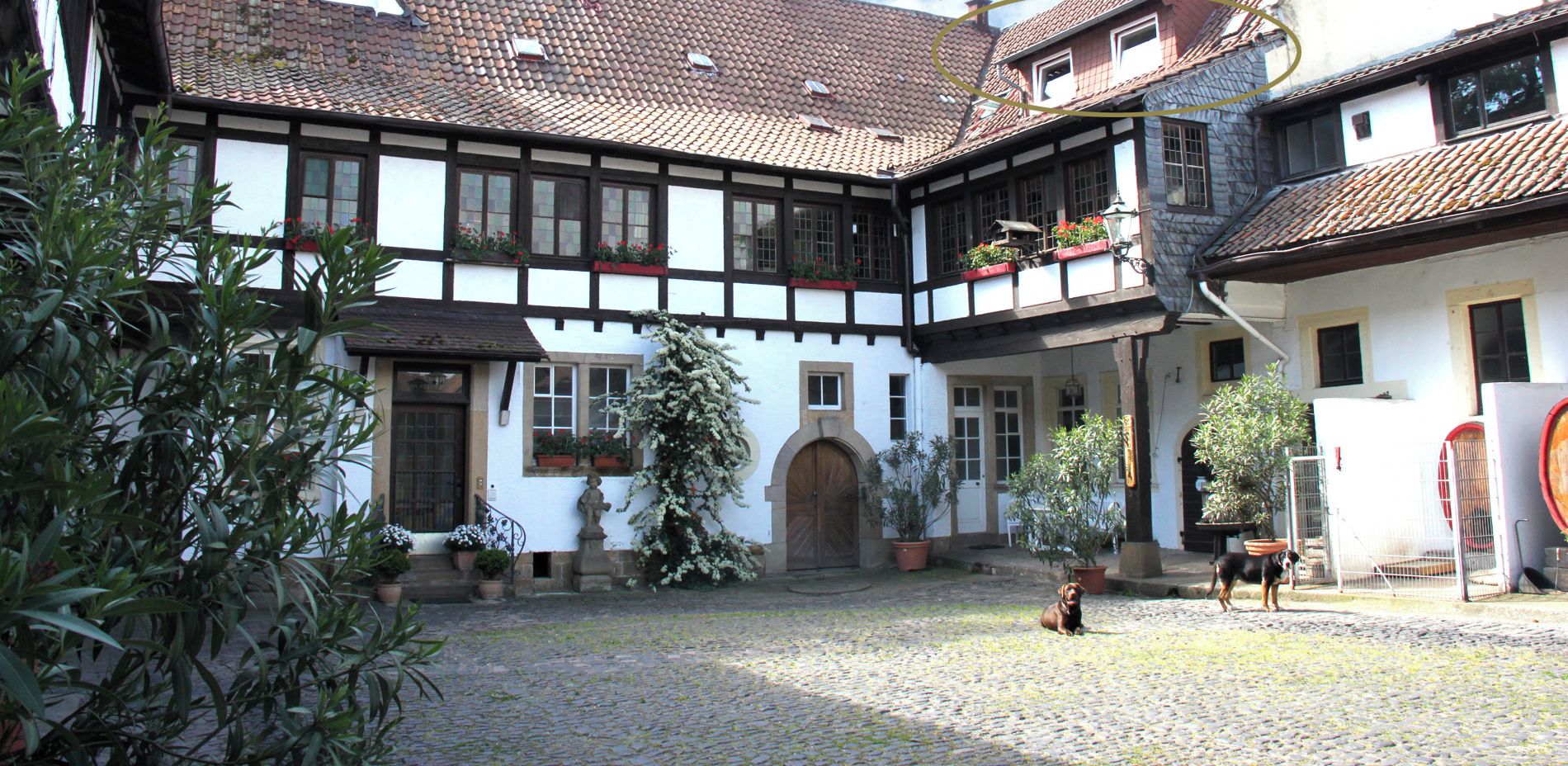 Un bâtiment traditionnel à colombages, doté d’une cour, où l’on voit un chien et une personne qui se promène.